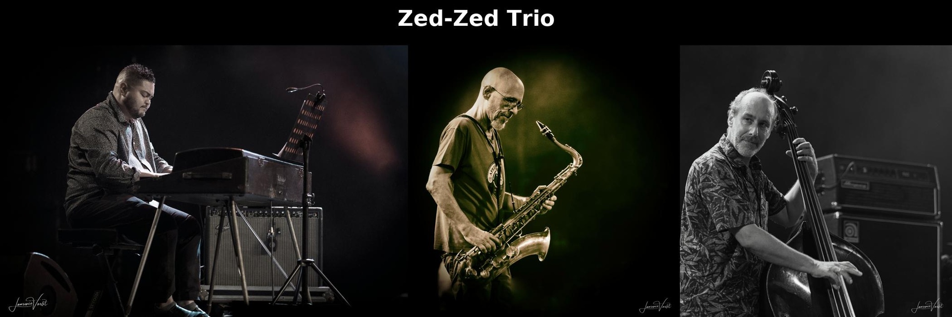 ZED ZED TRIO